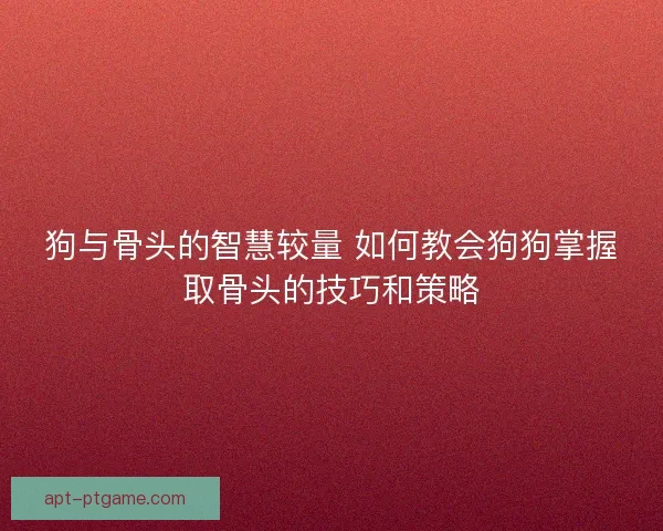 狗与骨头的智慧较量 如何教会狗狗掌握取骨头的技巧和策略