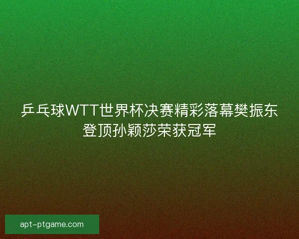 乒乓球WTT世界杯决赛精彩落幕樊振东登顶孙颖莎荣获冠军
